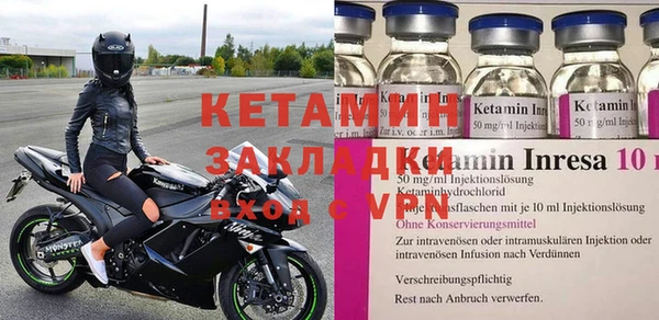 крисы Бородино