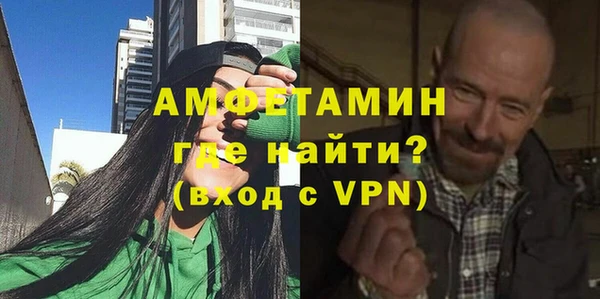 крисы Бородино