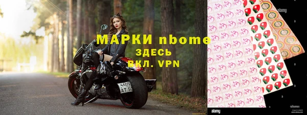 крисы Бородино