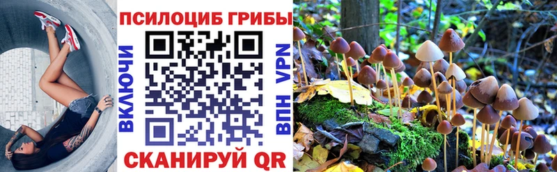 Псилоцибиновые грибы MAGIC MUSHROOMS  Острогожск 